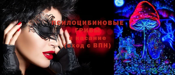 крисы Алексеевка