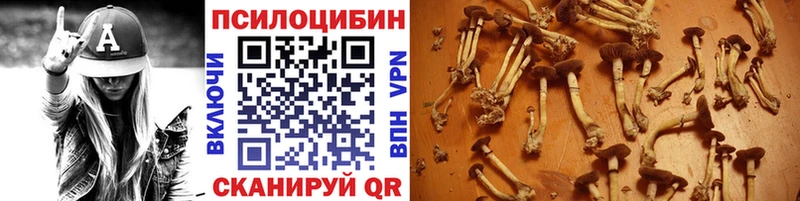 darknet наркотические препараты Берёзовский Псилоцибиновые грибы Magic Shrooms закладка